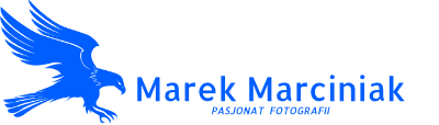 Marek Marciniak